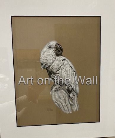w   Parrot on Hand   Dennis Oscarson  Charcoal   90.00
